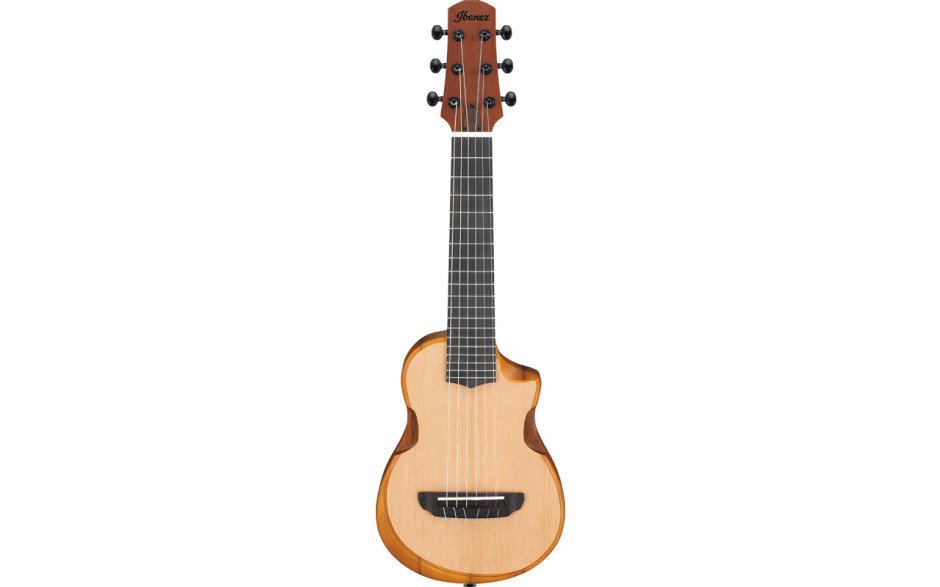 IBANEZ AUP10N OPN