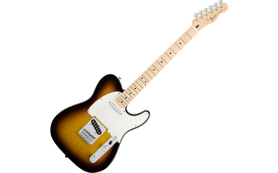 Fender RW x SPRUCE TELECASTER NAT