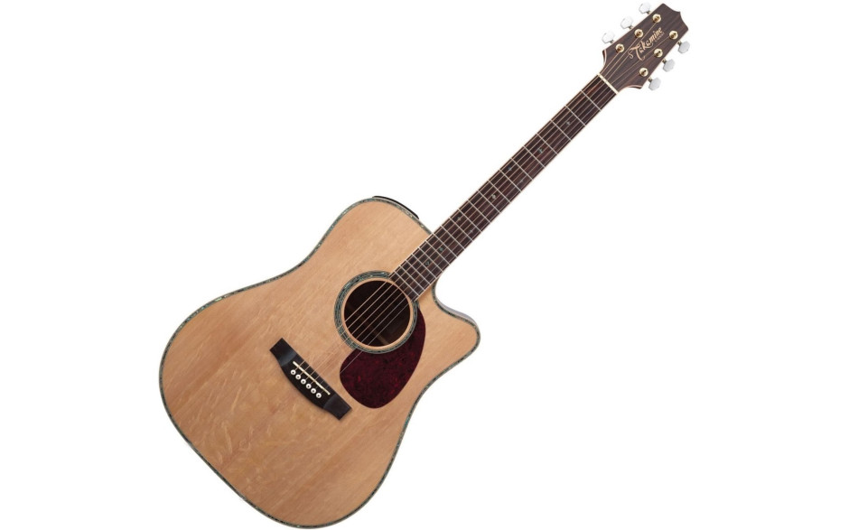 TAKAMINE EG340DLX