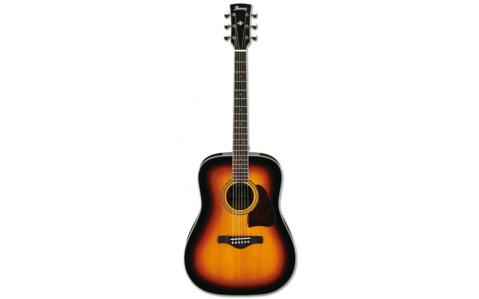 IBANEZ AW300 VS
