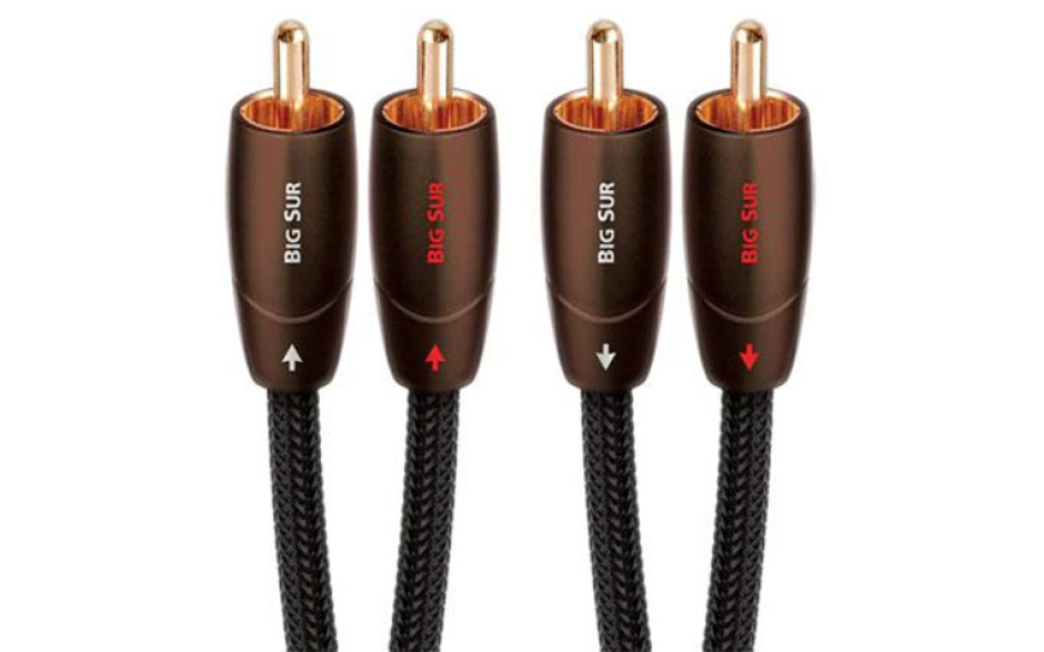 AUDIOQUEST 1.0m BIG SUR RCA > RCA