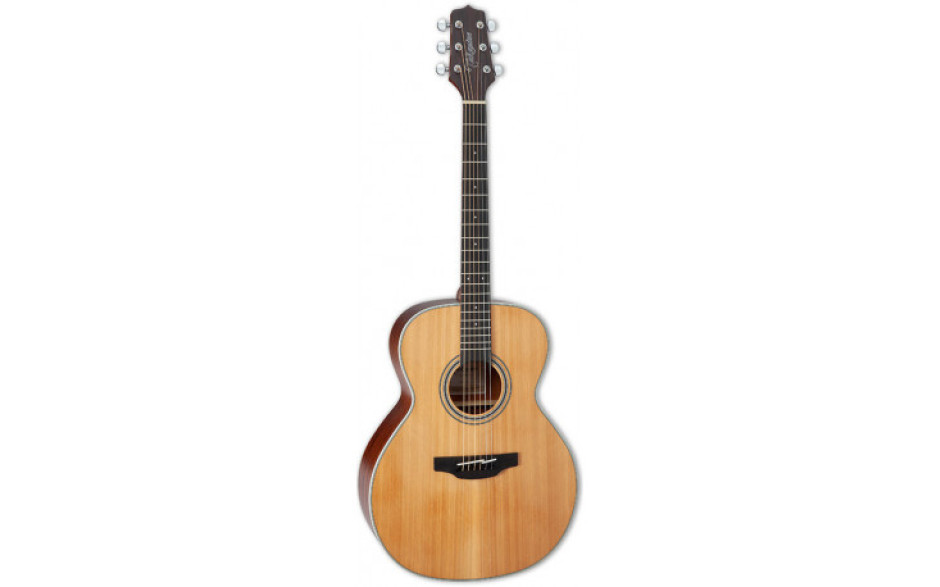 TAKAMINE GN20 NS