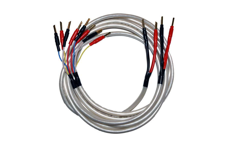 Atlas Equator Bi-wire 2 x 3 m с бананами Z plug