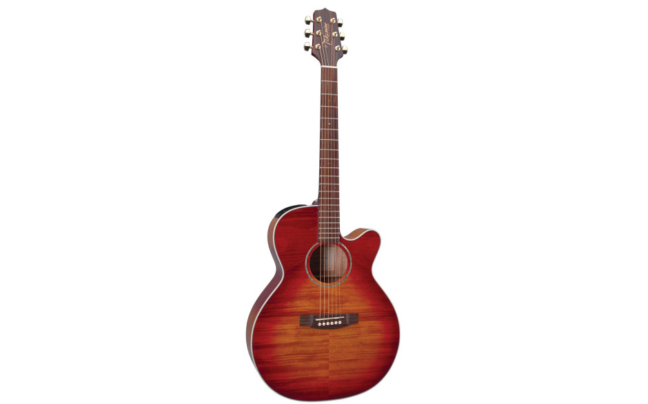 TAKAMINE EG444C-VV