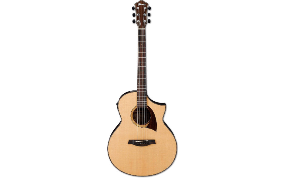 IBANEZ AEW22CD NT
