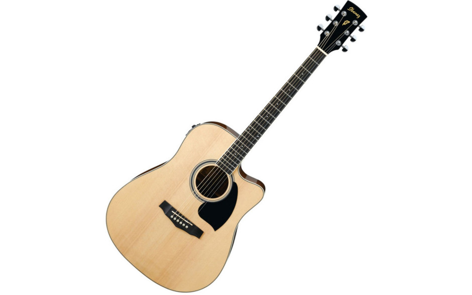 IBANEZ PF15ECE NT
