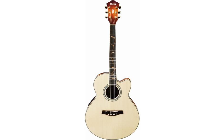 IBANEZ AEL40SE RLV