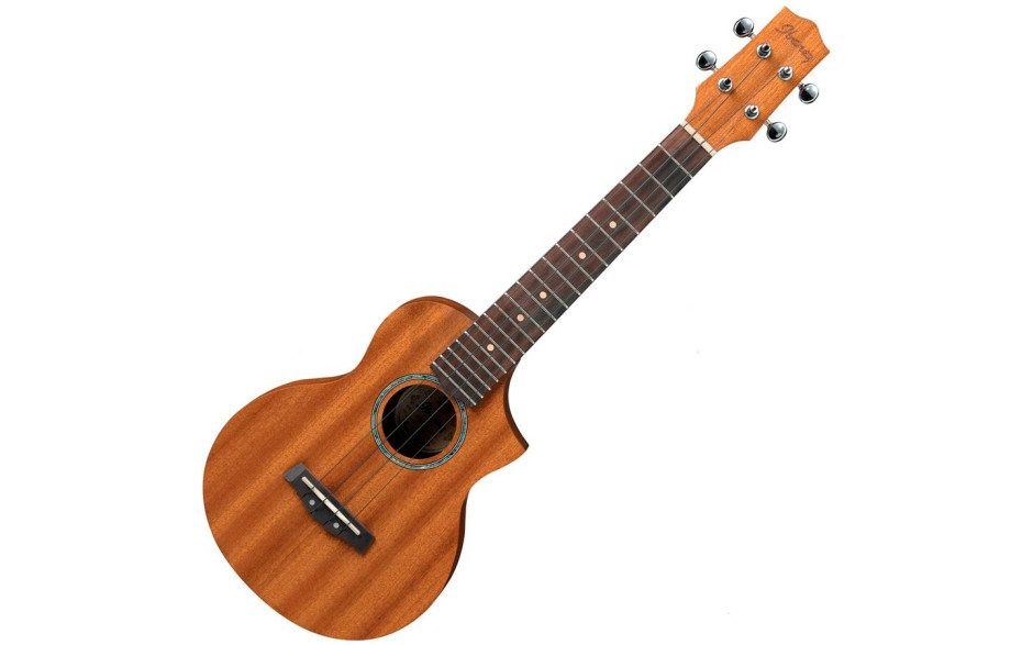IBANEZ UEW5