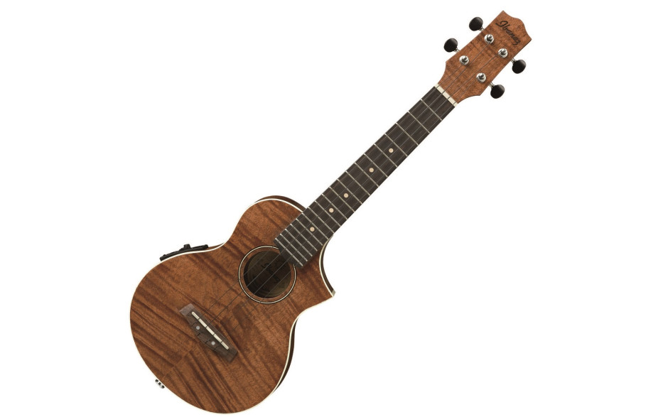IBANEZ UEW15E