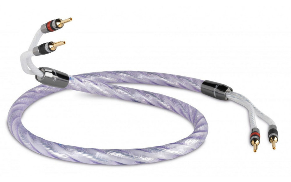 QED GENESIS PRE-TERM CABLE 5M (QE1486)