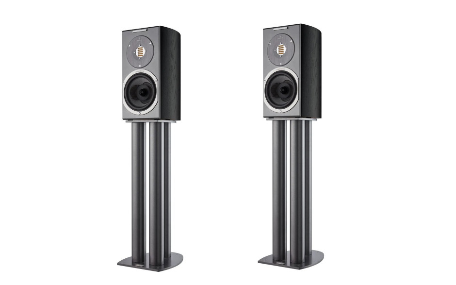Audiovector R1 Arrete Black Ash