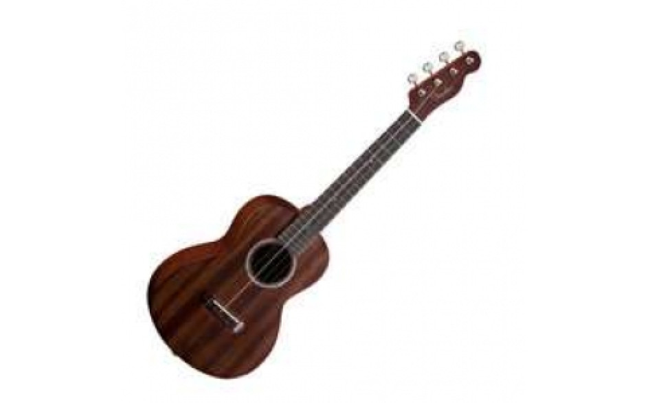 FENDER UKULELE PA INA TENOR