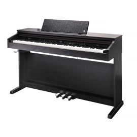 Kurzweil CUP E1 SR