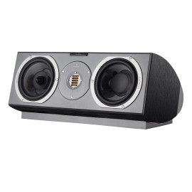 Audiovector R C Avantgarde Black Ash