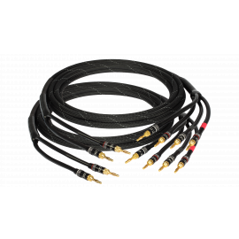 GOLDKABEL edition ORCHESTRA Bi-Wire 2x2,0м