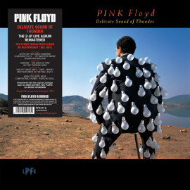PINK FLOYD - DELICATE SOUND OF THUNDER 2 LP Set 1988/2017 (PFRLP16, 180 gm.) WARNER/EU MINT (0190295996932)