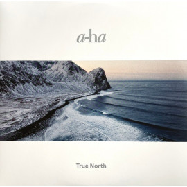 A-HA - TRUE NORTH 2 LP Set 2022 (196587083014) SONY MUSIC/EU MINT (0196587083014)