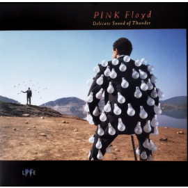 Pink Floyd: Delicate Sound Of Thunder Vinyl 2LP