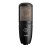 AKG Perception P220