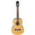 IBANEZ G100 NT