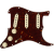 FENDER PRE-WIRED STRAT PICKGUARD TEX-MEX SSS TORTOISE SHELL