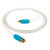 CHORD C-sub 1RCA to 1RCA 6m