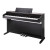 Kurzweil CUP E1 SR