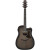 IBANEZ AAD50CE-TCB