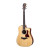Taylor Guitars 210ce Plus