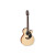 TAKAMINE GX18CE NS