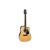 TAKAMINE GD30CE NAT