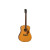 FENDER PD-220E DREADNOUGHT WITH CASE NATURAL