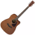 IBANEZ PF12MHCE OPN