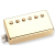 SEYMOUR DUNCAN SATURDAY NIGHT SPECIAL NECK GOLD