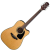 TAKAMINE GD10CE NS