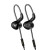 Whizzer A15 Pro Black