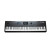 Kurzweil PC4SE