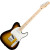 Fender RW x SPRUCE TELECASTER NAT