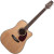 TAKAMINE EG340DLX