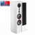 DALI Epicon 8 White High Gloss