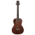 PEAVEY COMPOSER GU GUITALELE