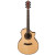 IBANEZ AEW23MV NT