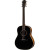 Taylor Guitars AD17 Blacktop