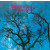 AMON DUUL II - PHALLUS DEI 1969 /2009 (SPV 304181 LP, RE-ISSUE) REVISITED/EU MINT (0693723041810)