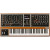 MOOG One Polyphonic Synthesizer 8-Voice
