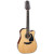 TAKAMINE GD30CE-12NAT