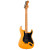 Fender American Pro II Limited Edition Stratocaster HSS HT Aged Natural