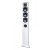 Piega TMicro 60 AMT Silver