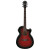 IBANEZ AEG10II TRS