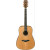 IBANEZ AW3050 LG